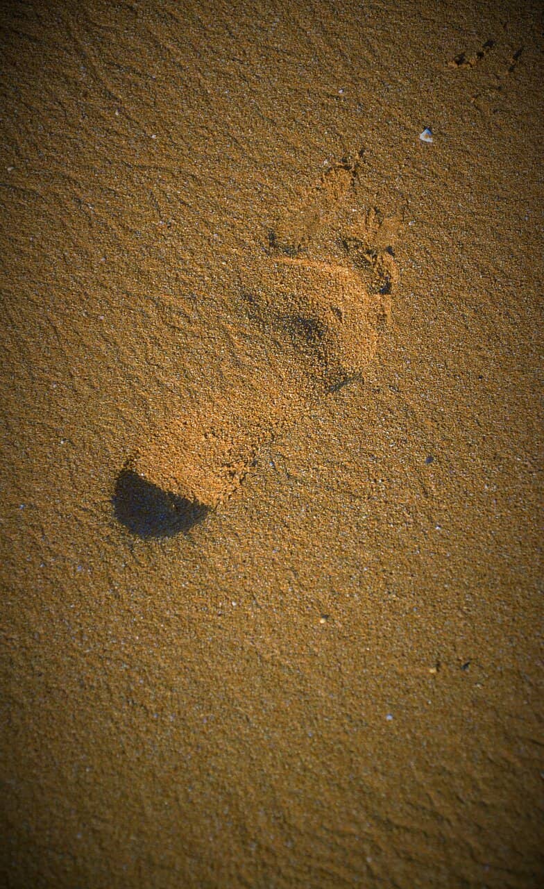 Vertical photo
