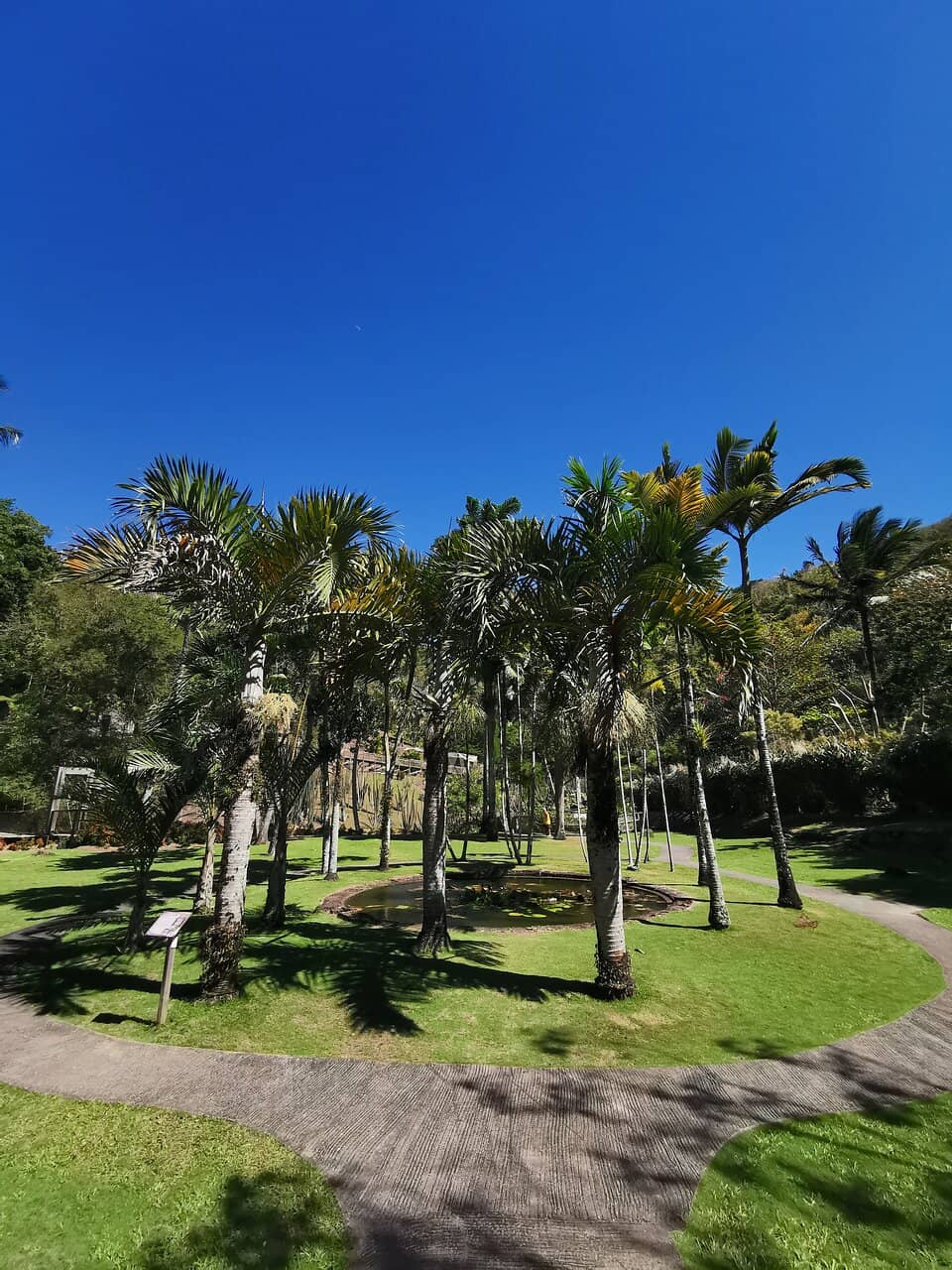 Tropical Aviary