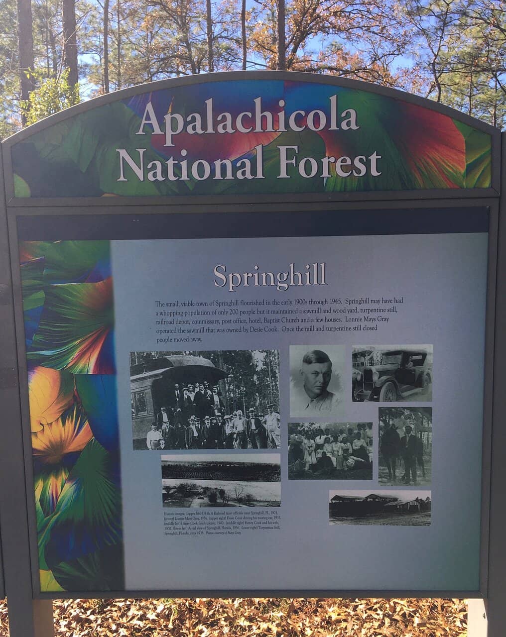 Leon Sinks Geological Area