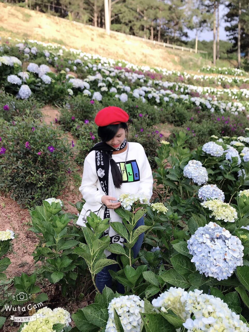 The 'Ba Na Hills' Style Bridge