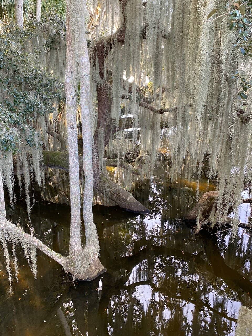 Jellyrolls Dueling Piano Bar