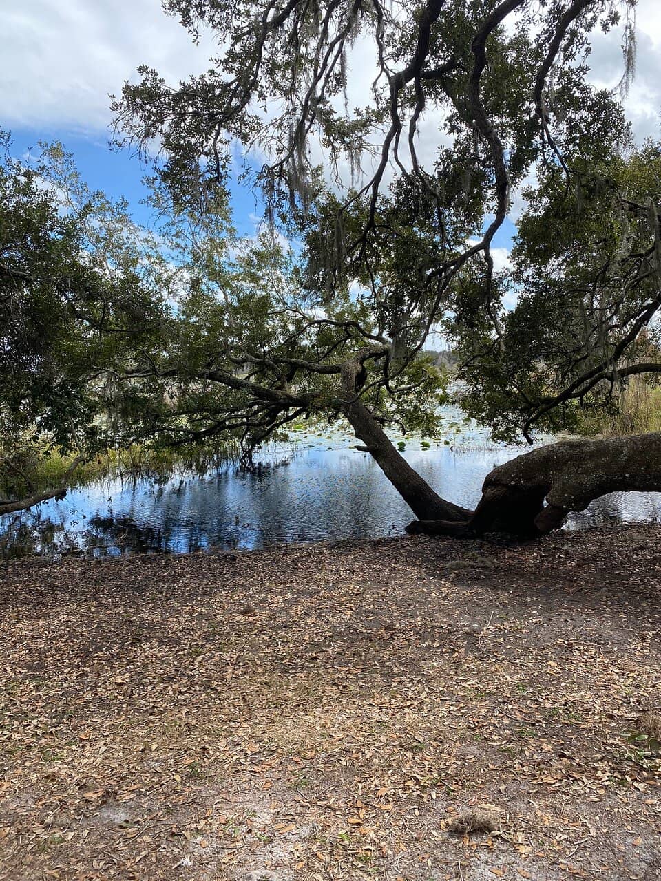 Central Pasco & Gulf Railroad