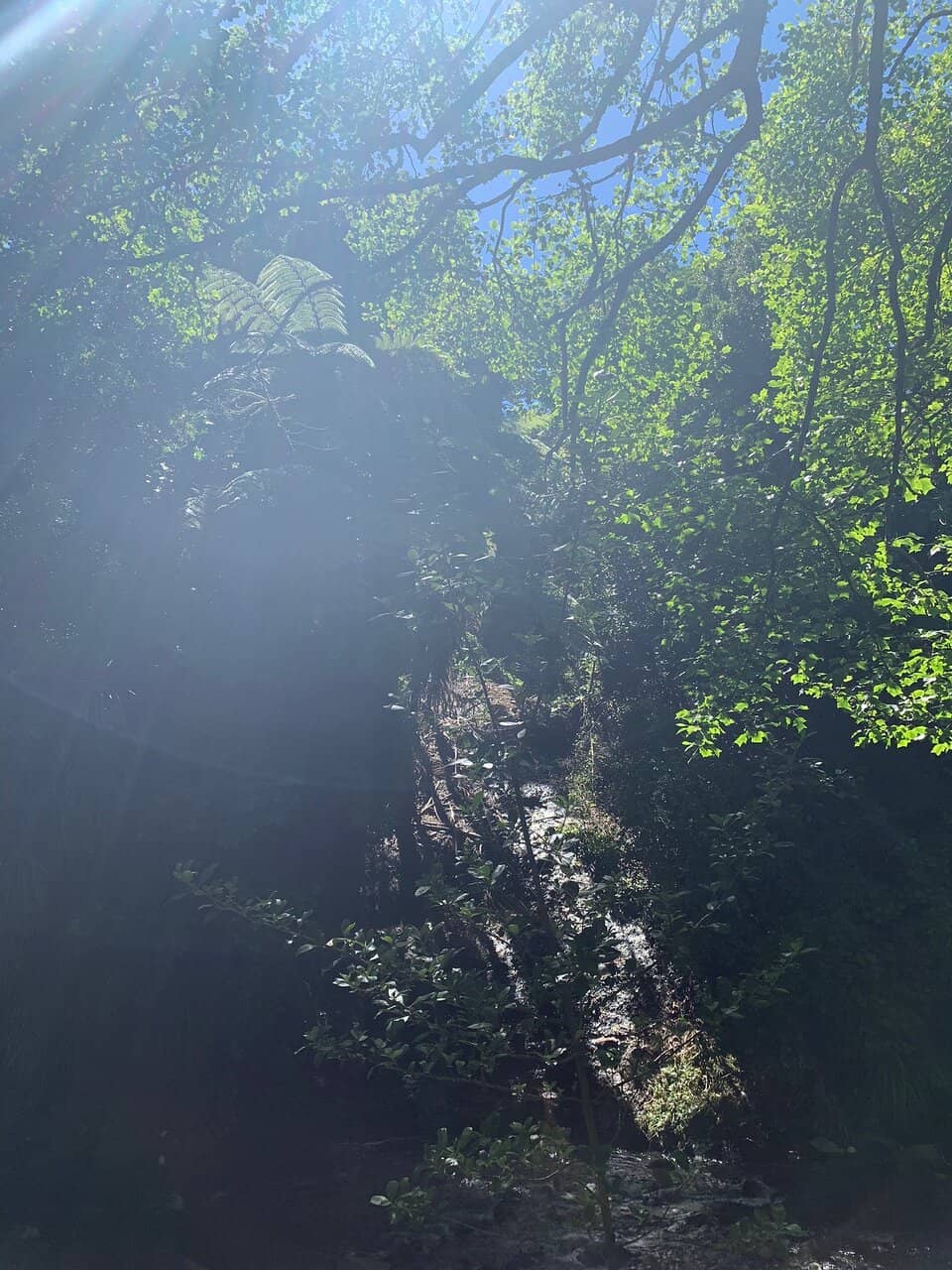 Coastal Walkway Connection