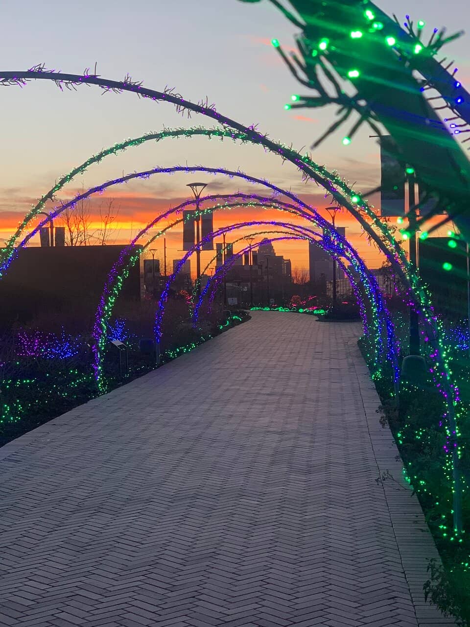 Bonsai Garden & History Exhibit