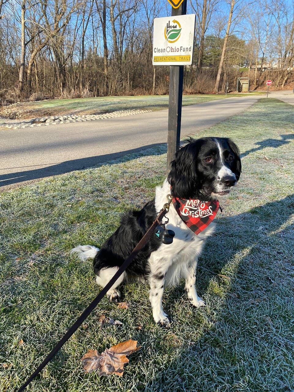 Holiday Lights Display