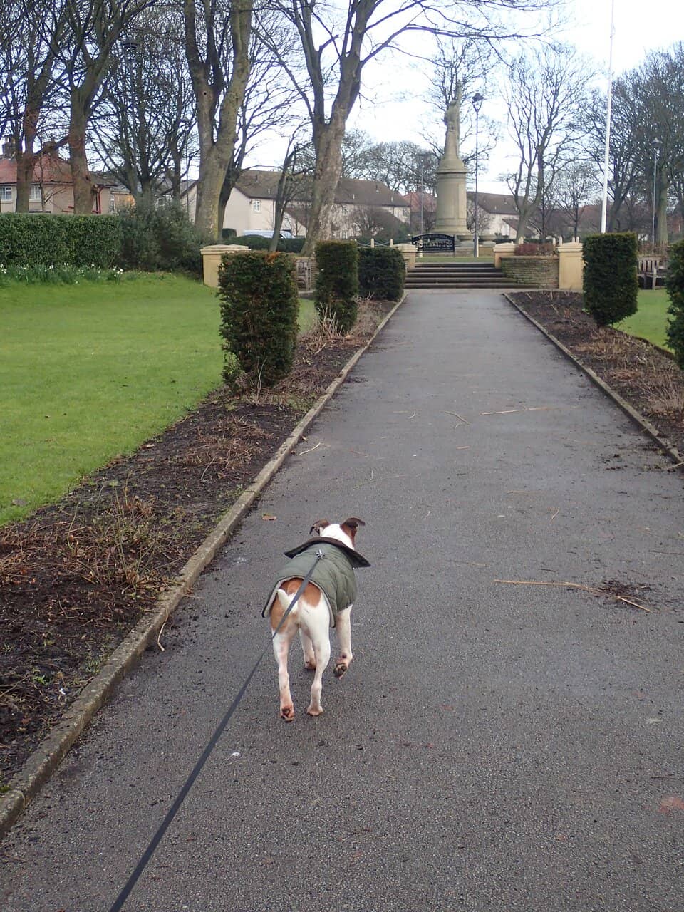 Wyre Wheels Cycling Programme