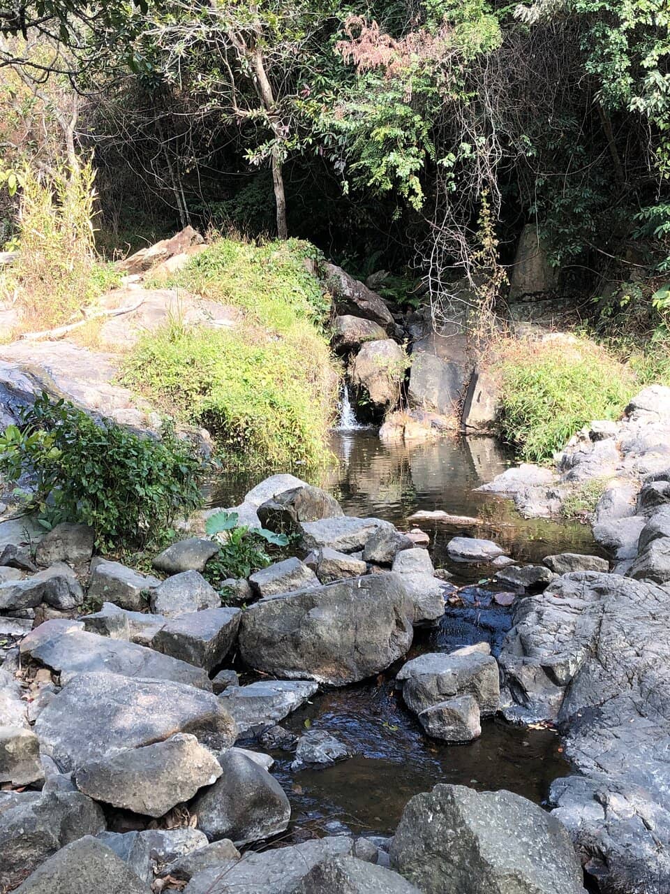 Scenic Hiking Trails