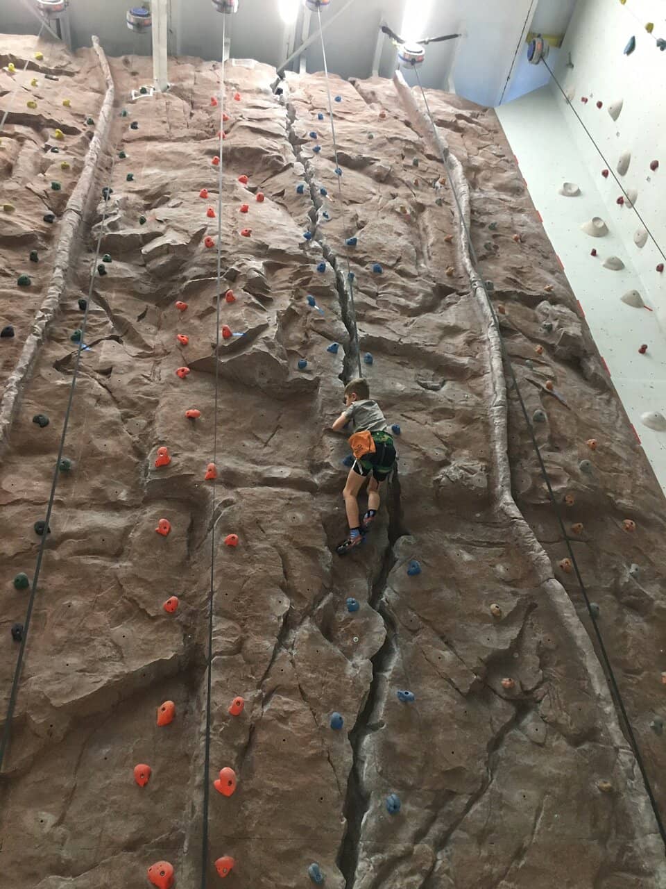 Vertical photo