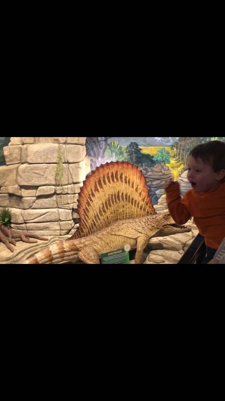 Local Missouri History