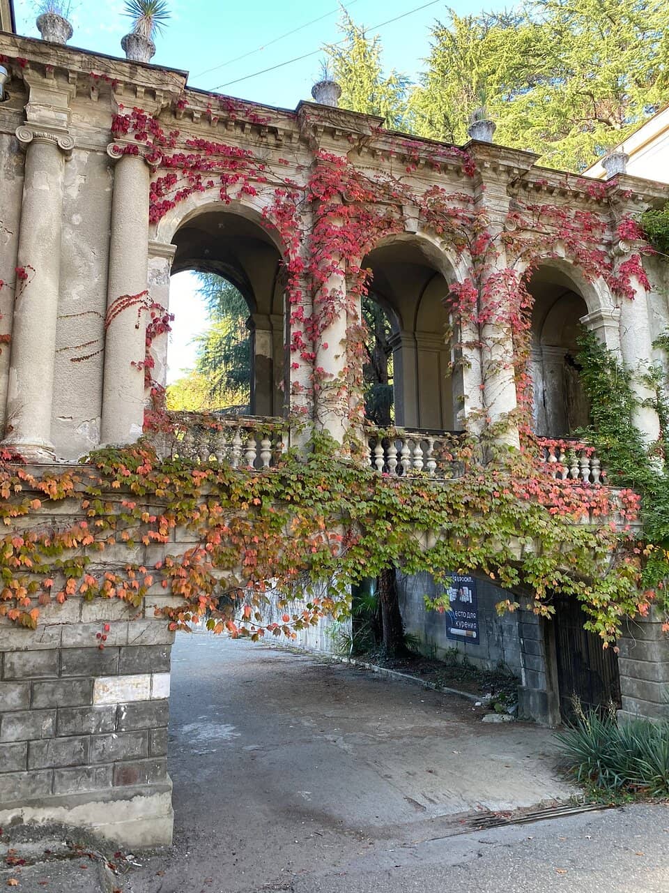 Overgrown Park and Gardens