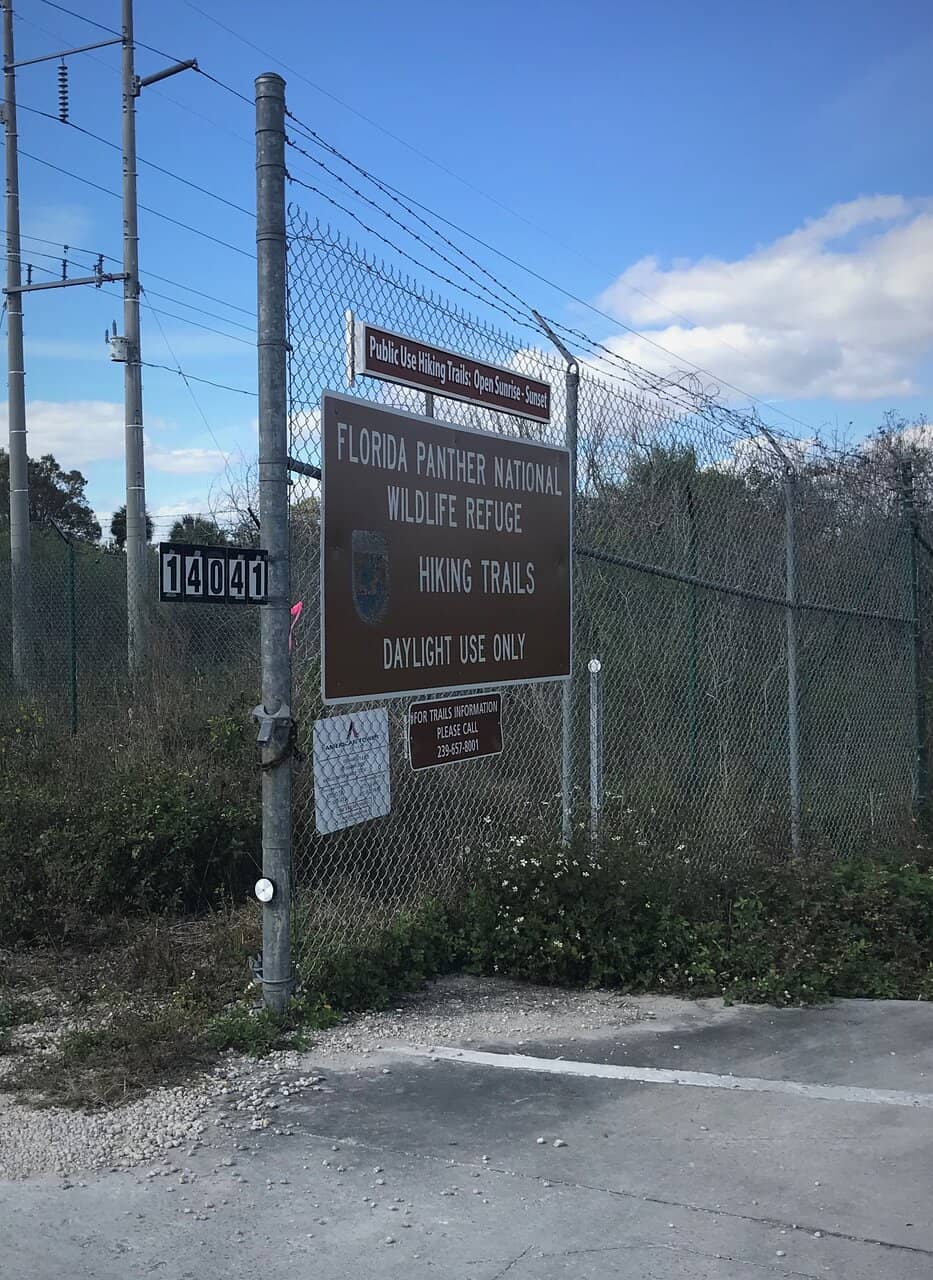 Abundant Flora and Fauna