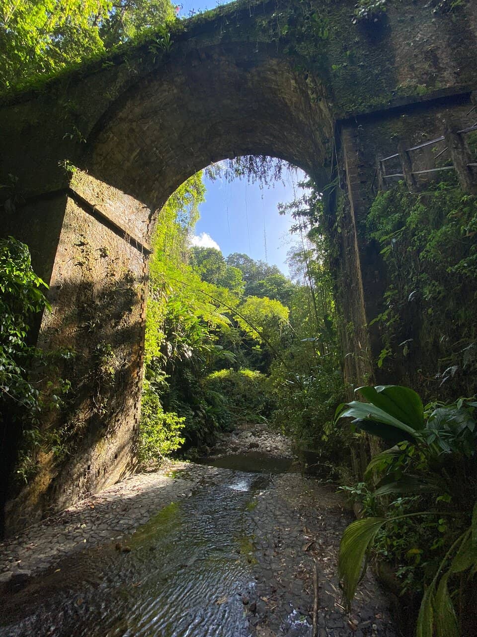 Tranquil Natural Setting
