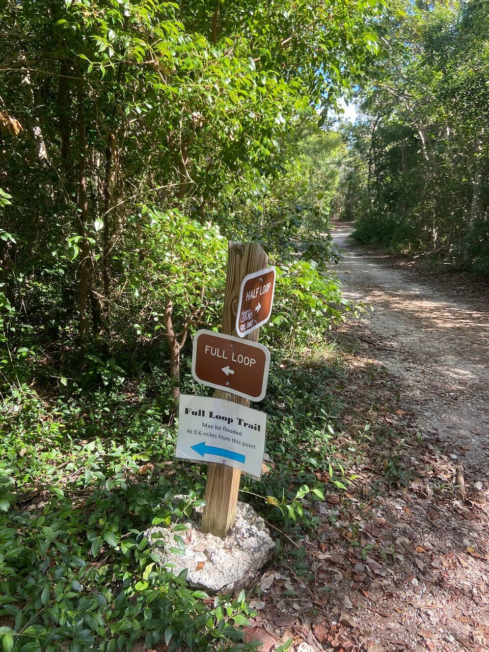 Butterfly Garden & Picnic Area