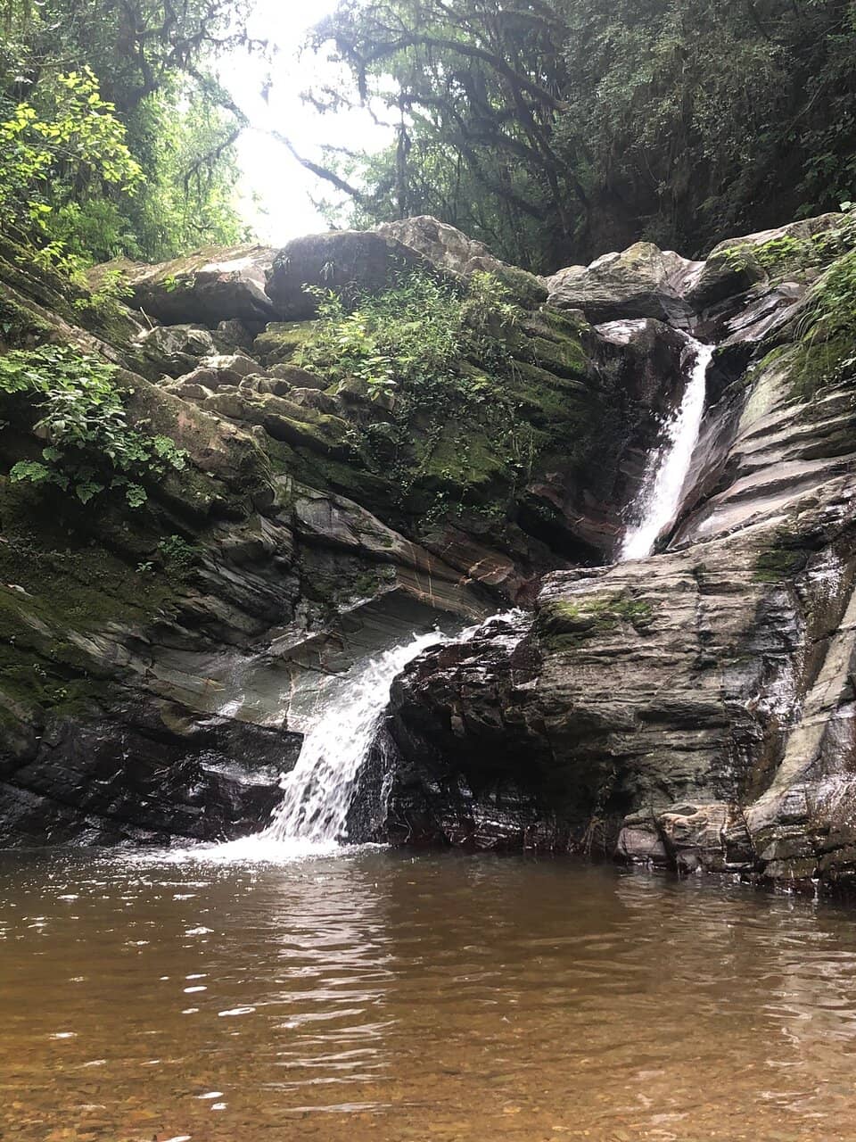 Natural Pools