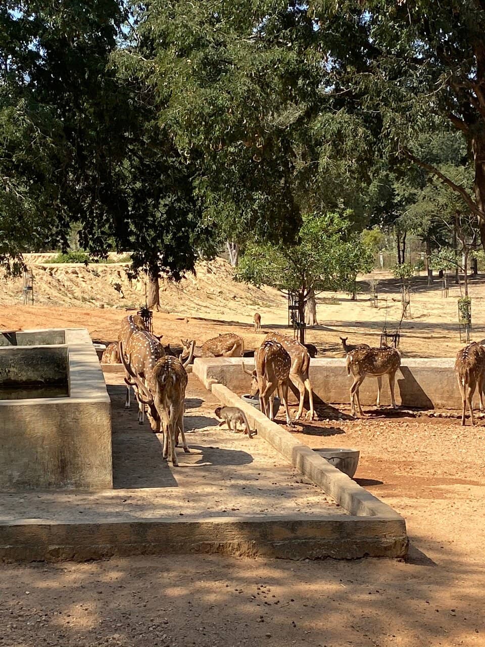 Tranquil Nature Trails