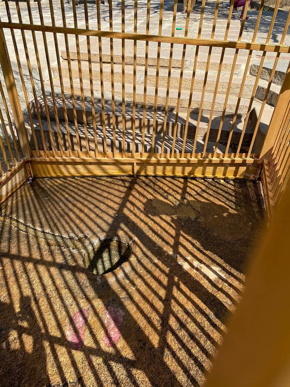 Deer Sanctuary