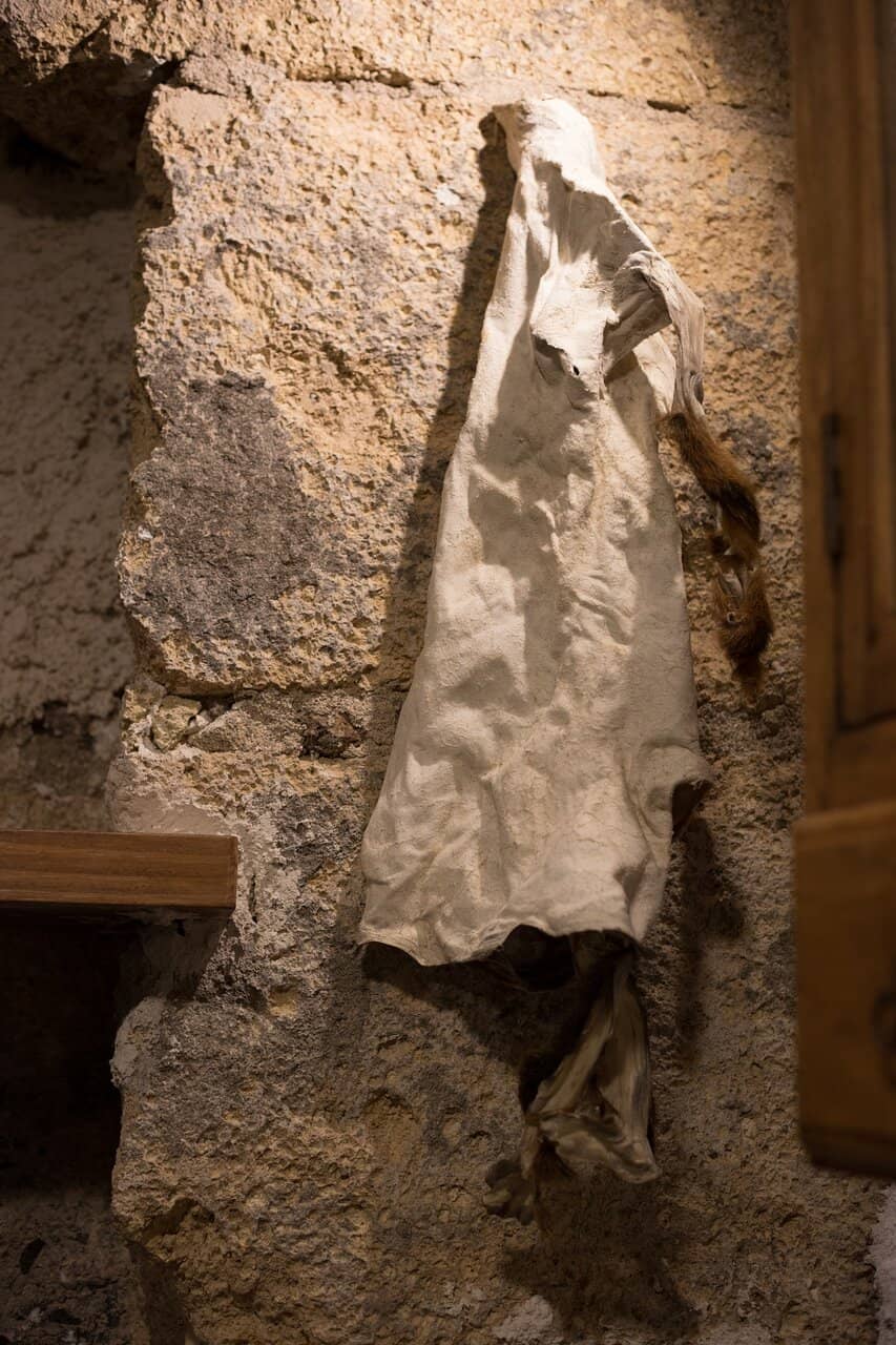 Unique Sausage Delicacy