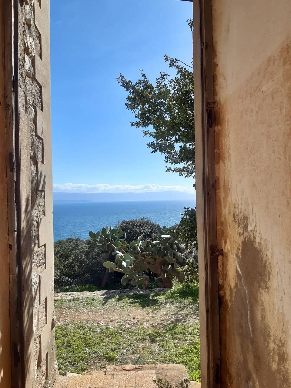 Vertical photo