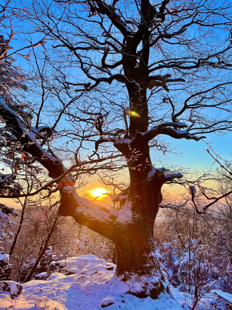 Scenic Hiking Trails