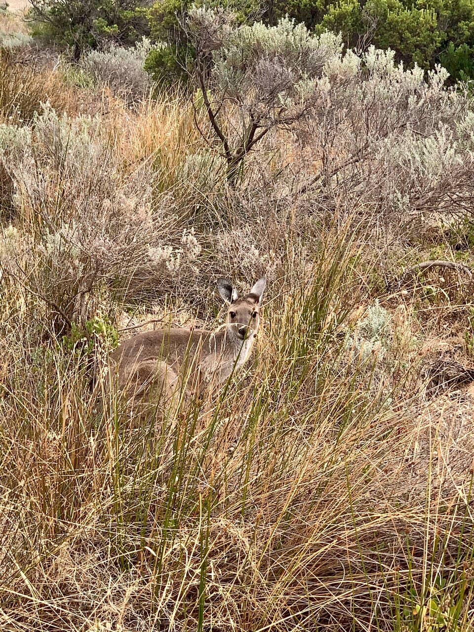 Saltwater Lagoons & Wetlands