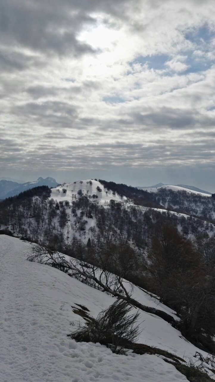 Autumn Foliage Trails