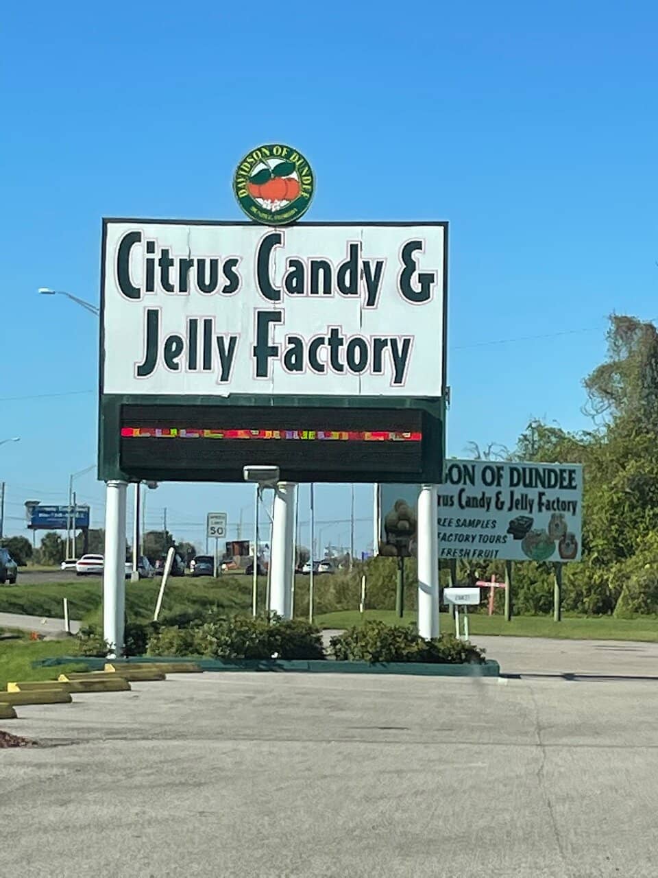 Unique Florida-Themed Treats