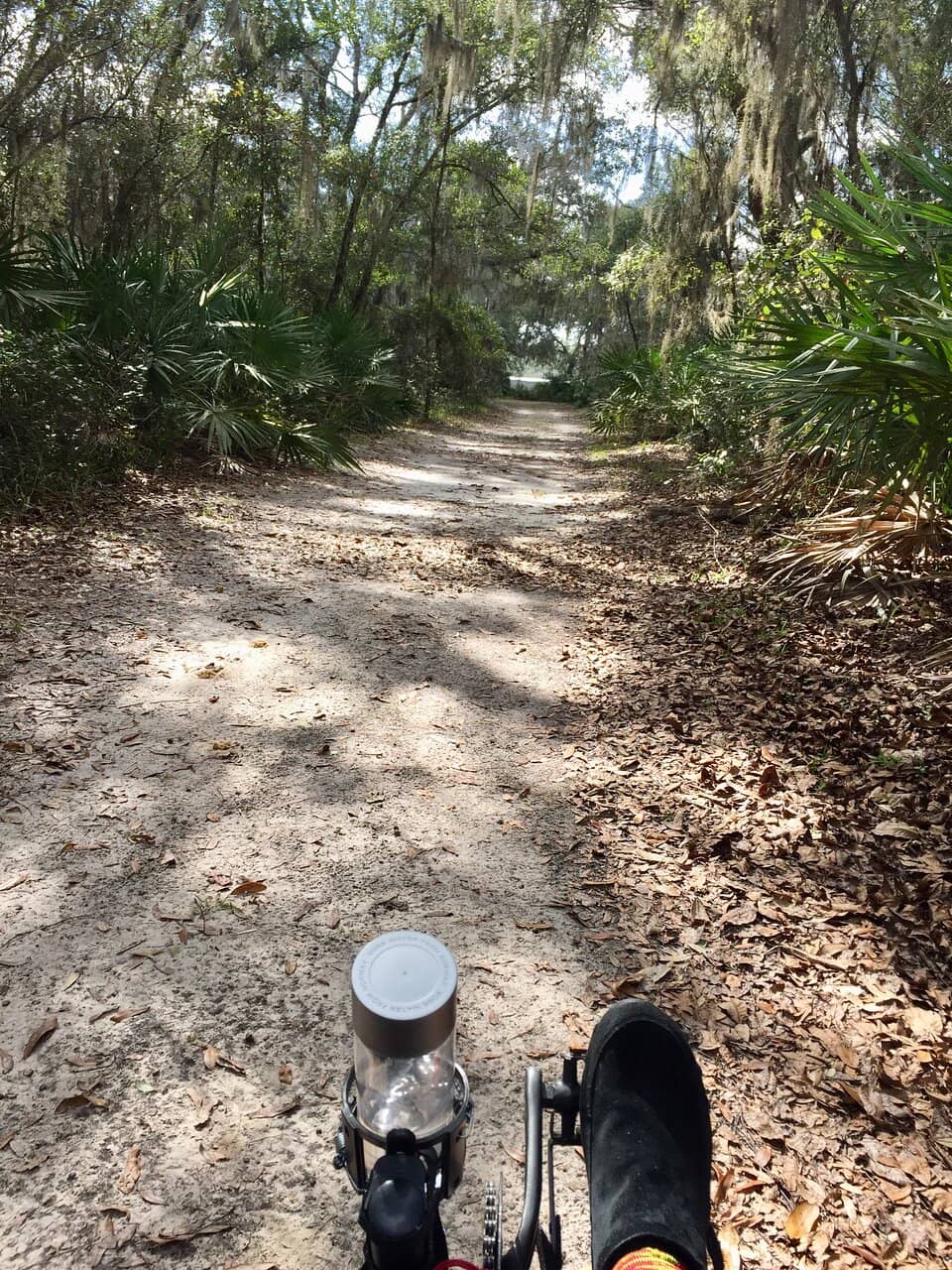 Birdwatching Paradise