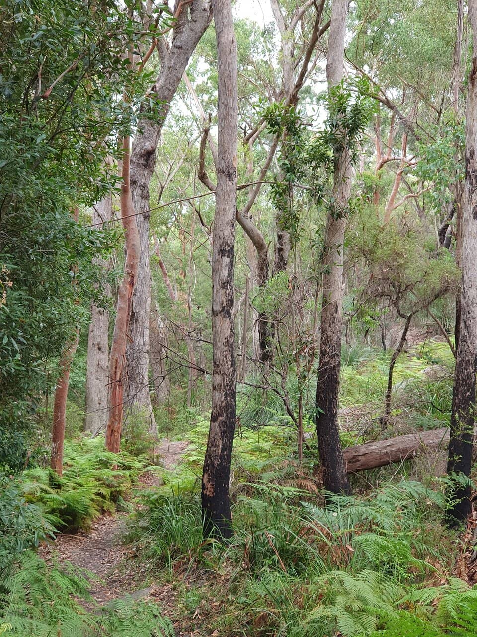 Place of Wind Interpretive Trail