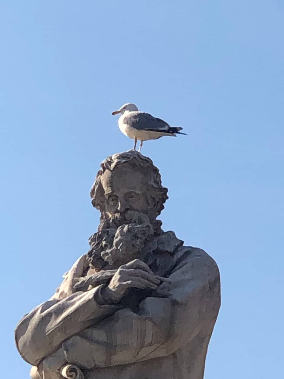 Vertical photo