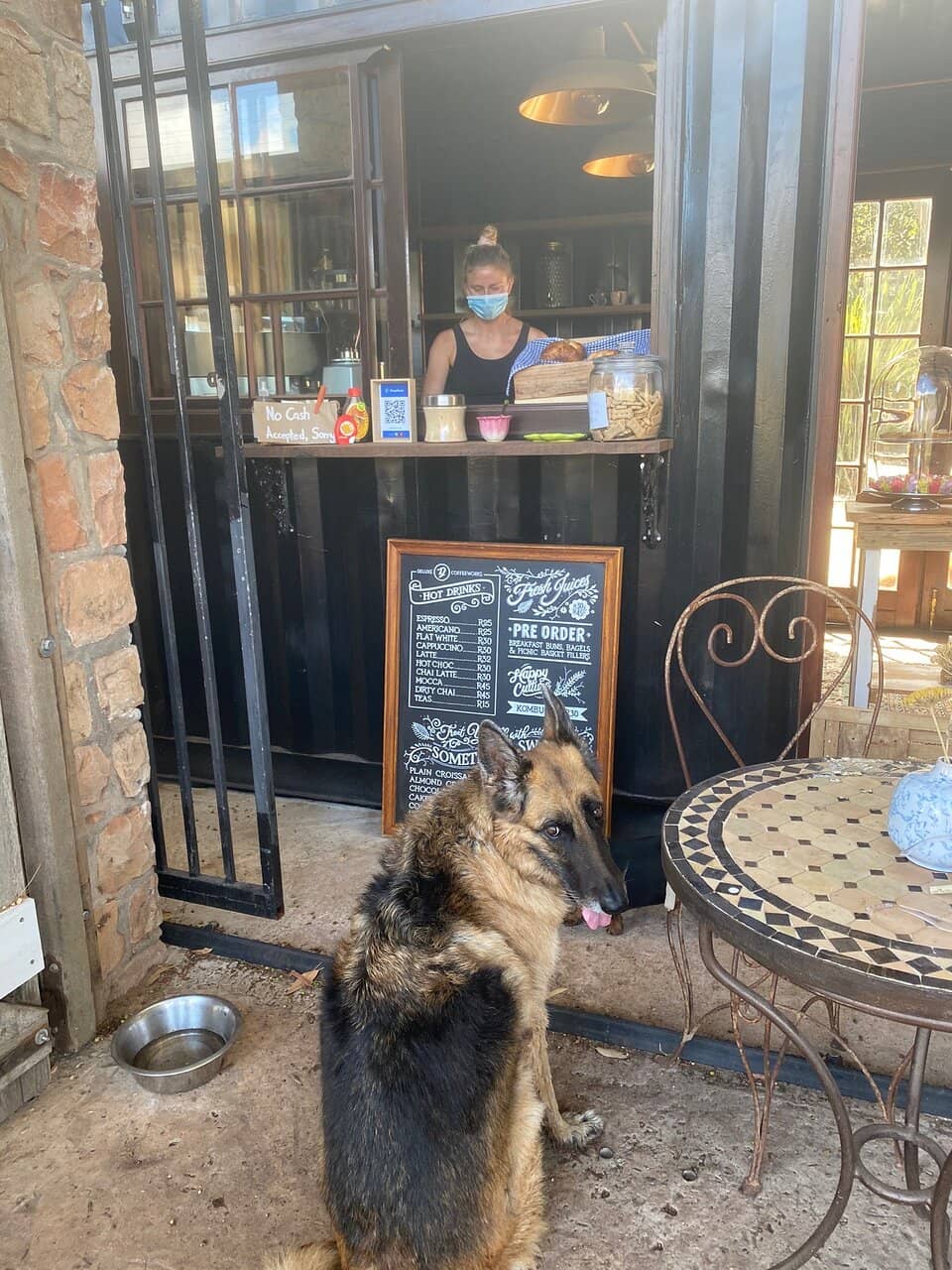 Secret Forest Cafe