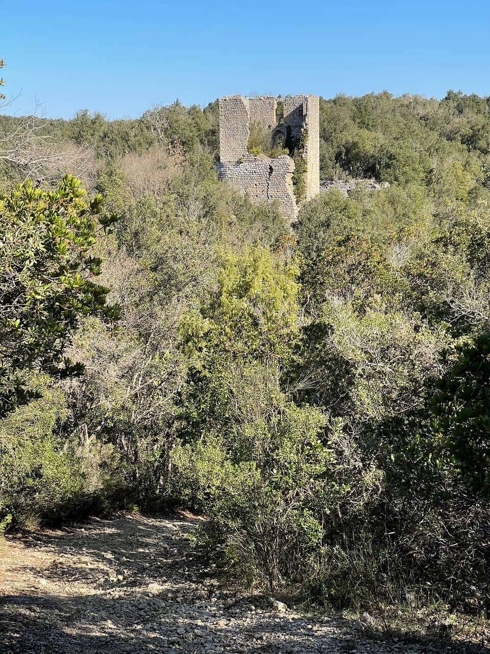Vertical photo