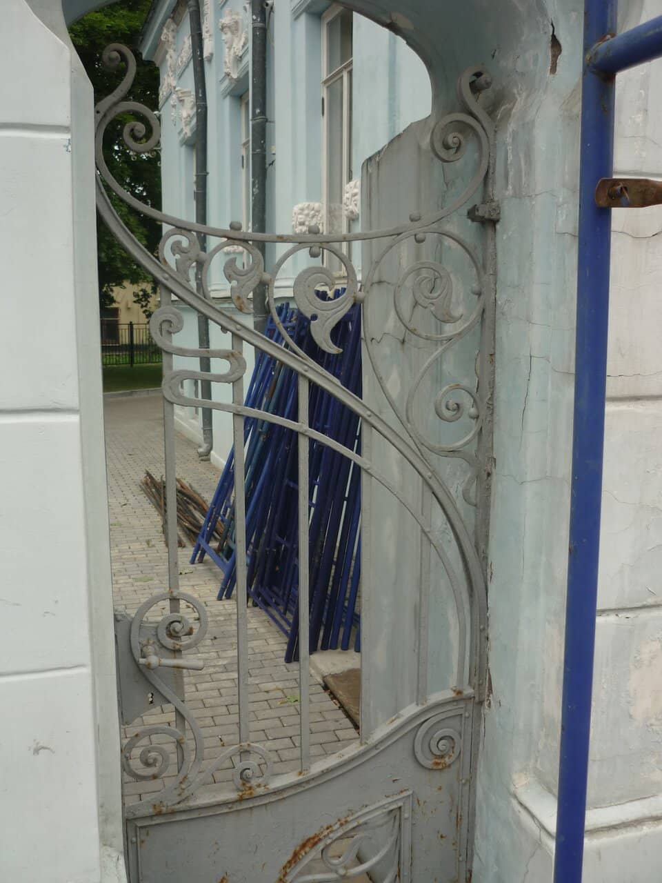 Surrounding Lake and Swans