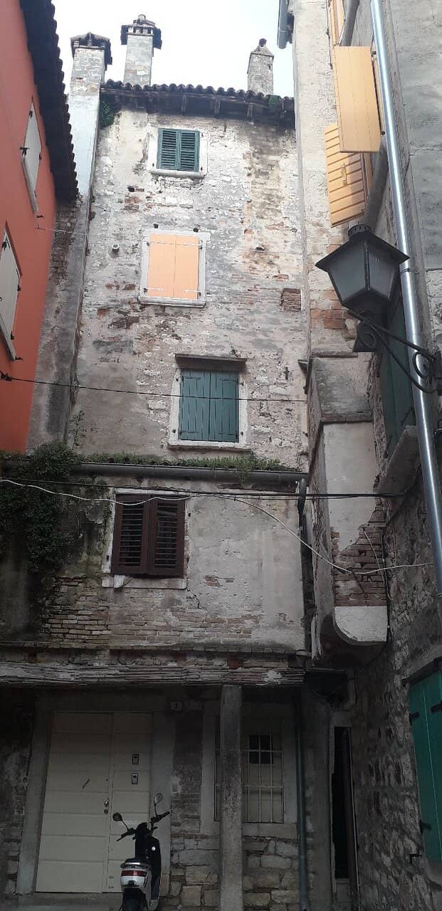 Bustling Harbour Activity