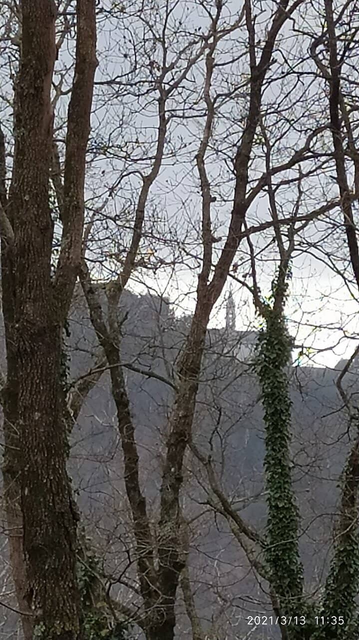Historic Mule Trail