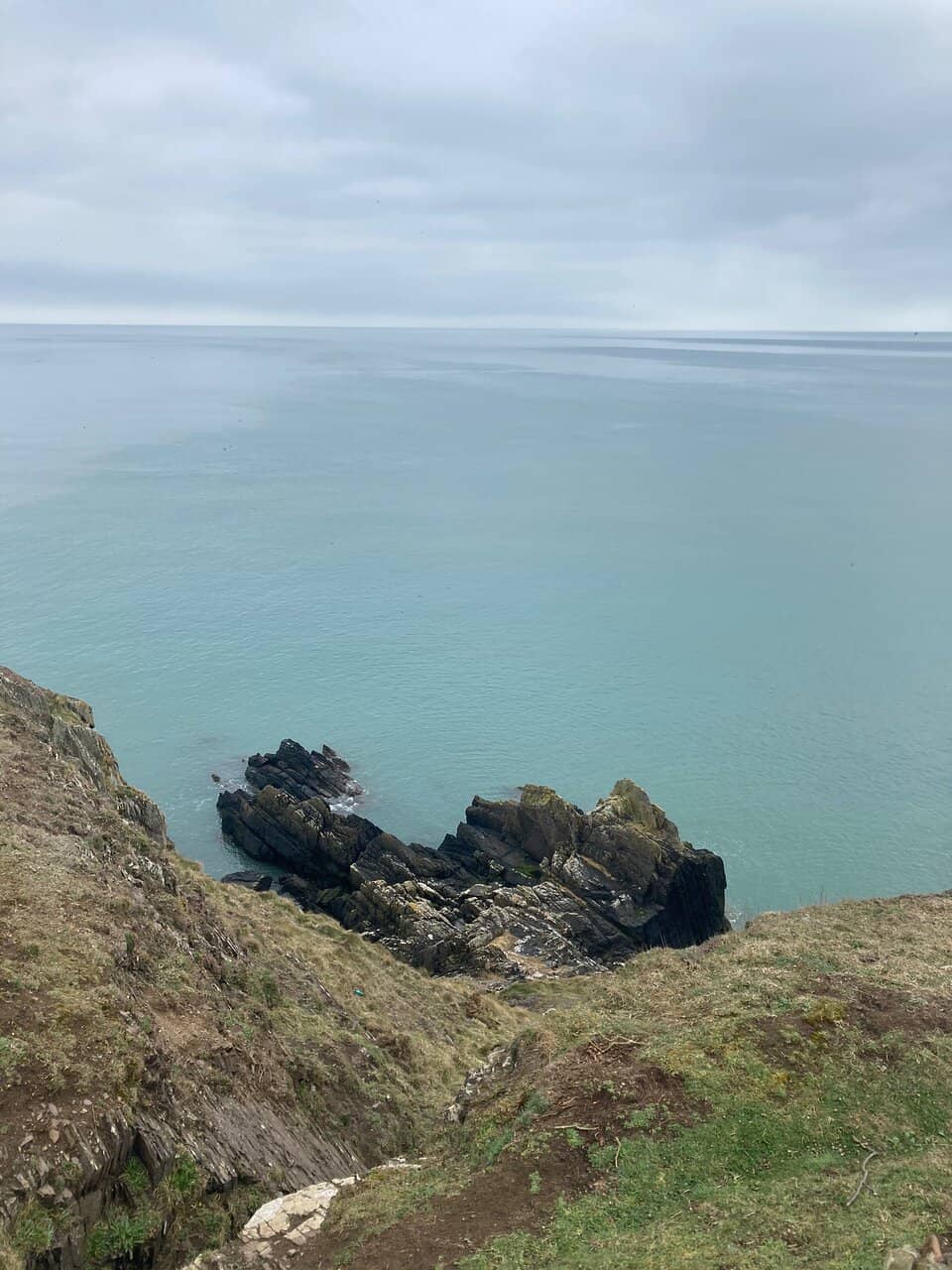 Vertical photo