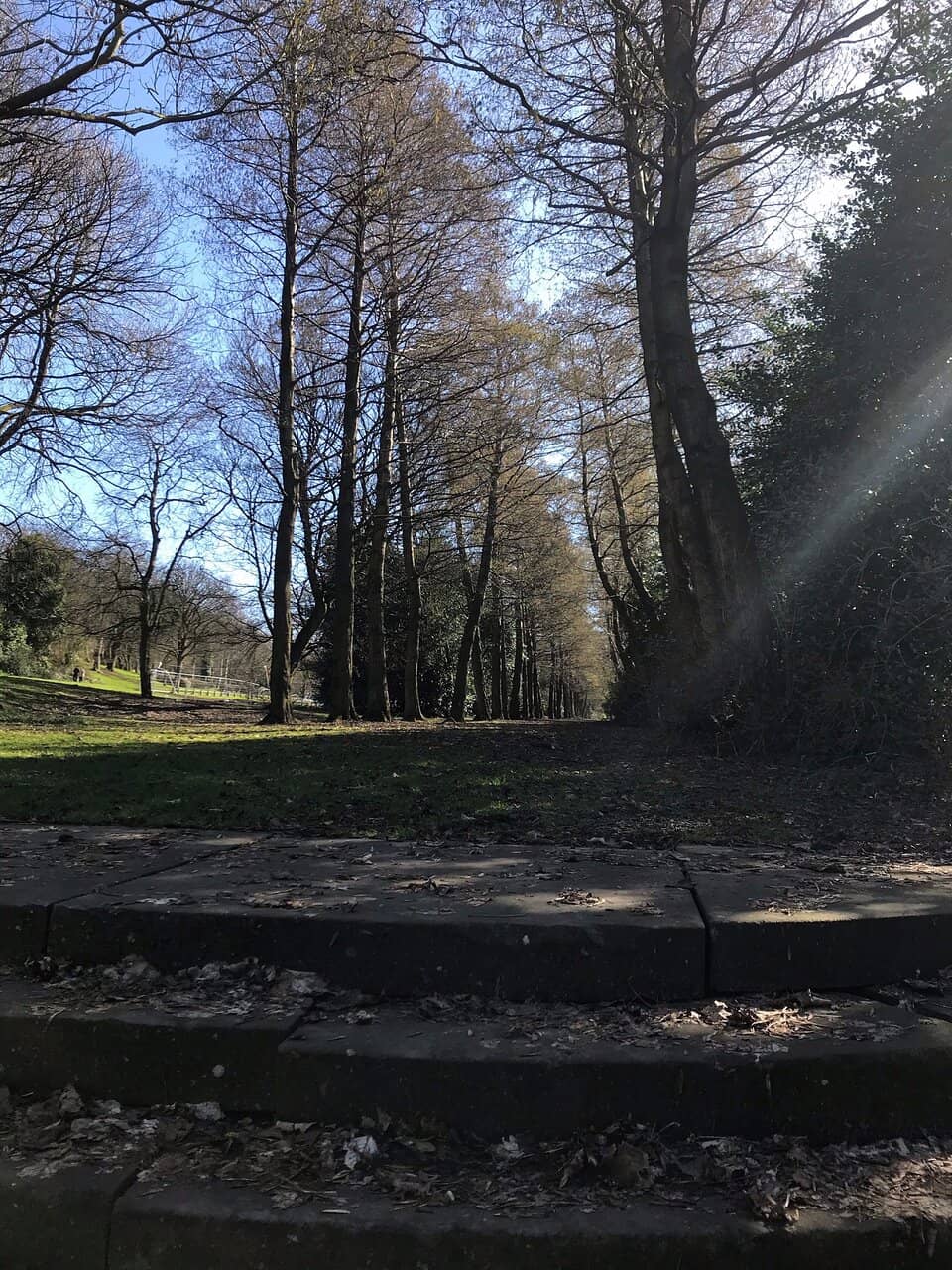 Outdoor Gym
