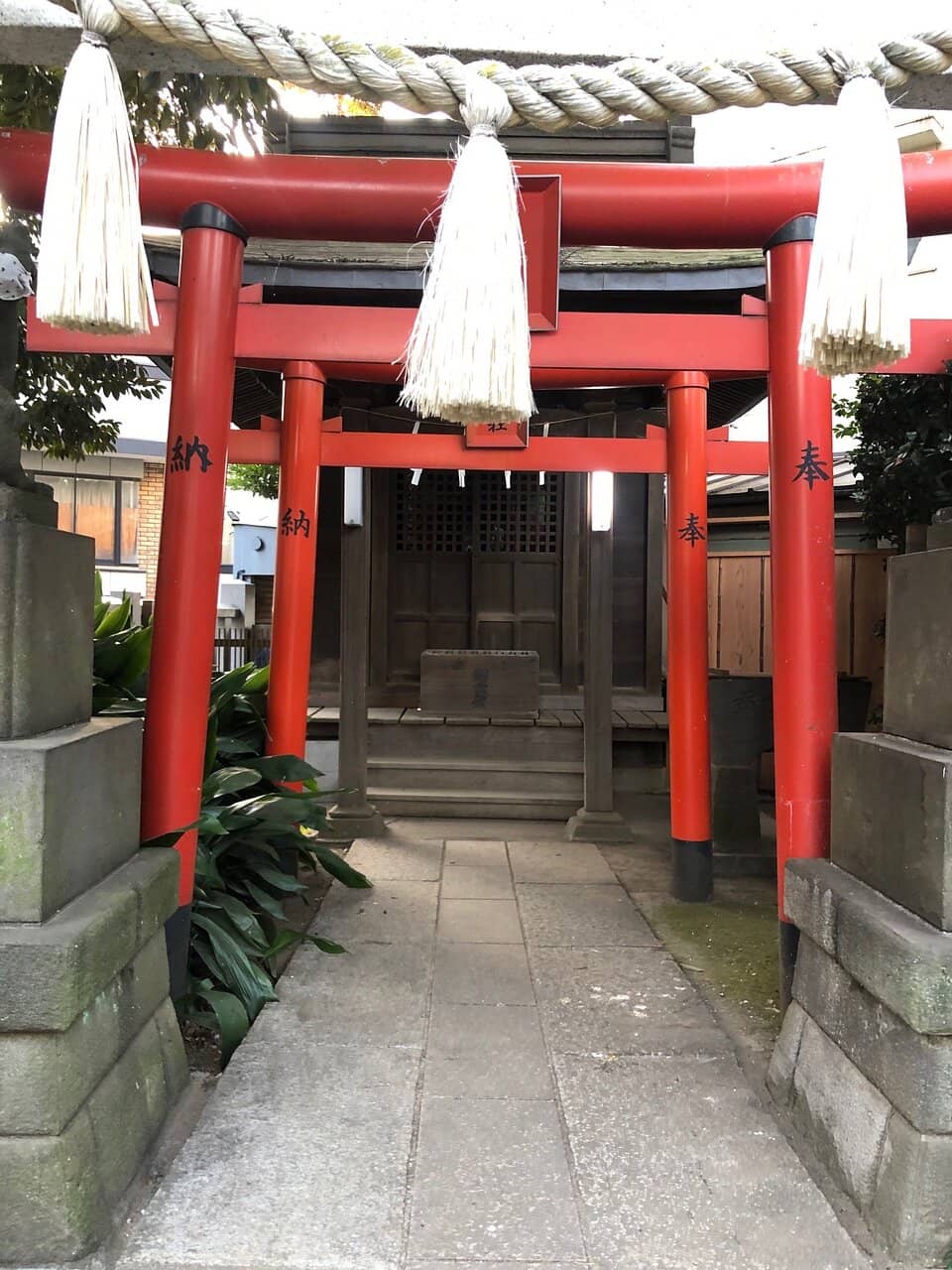 Serene Residential Setting