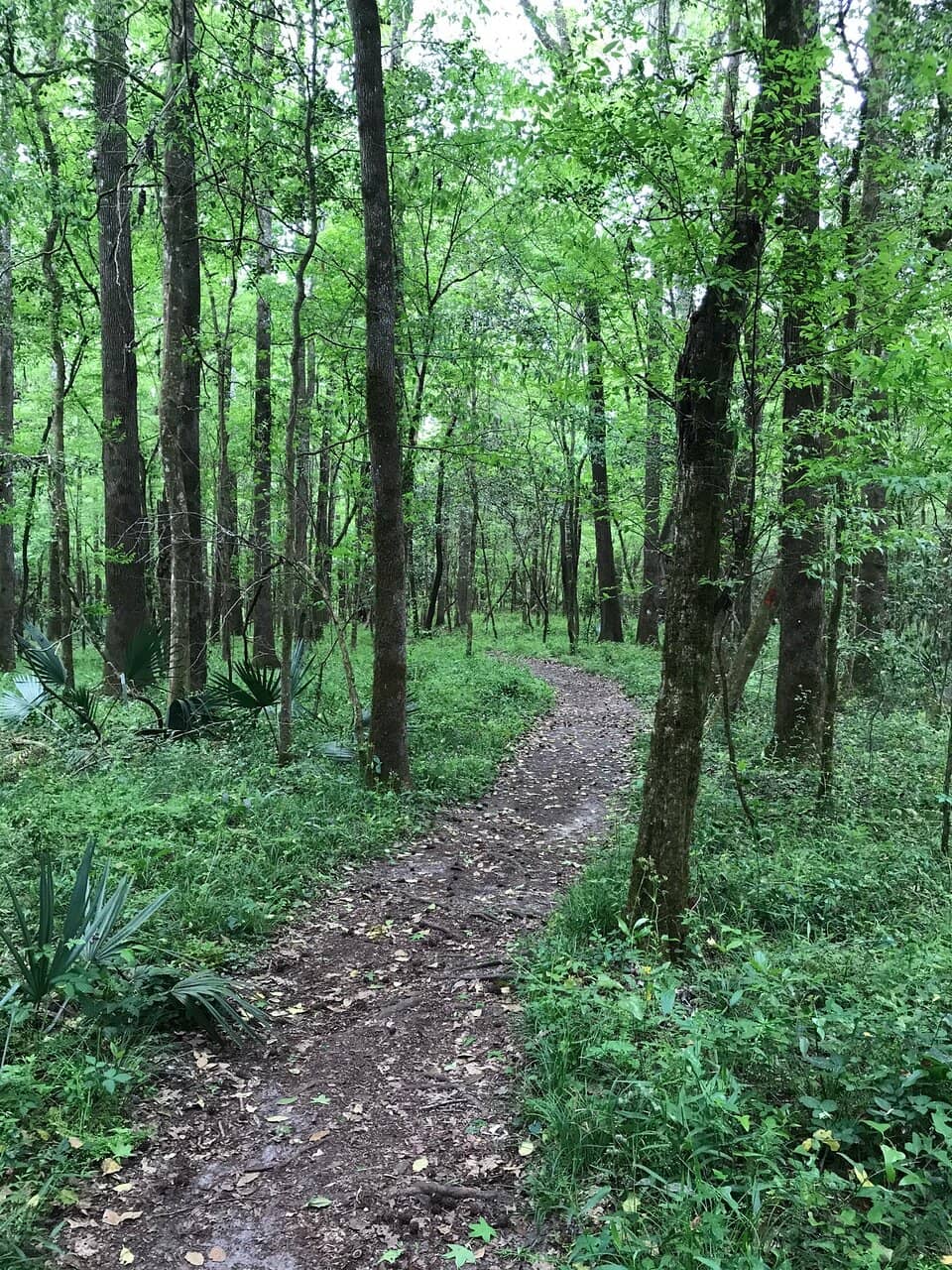 Moonshine Creek Trail