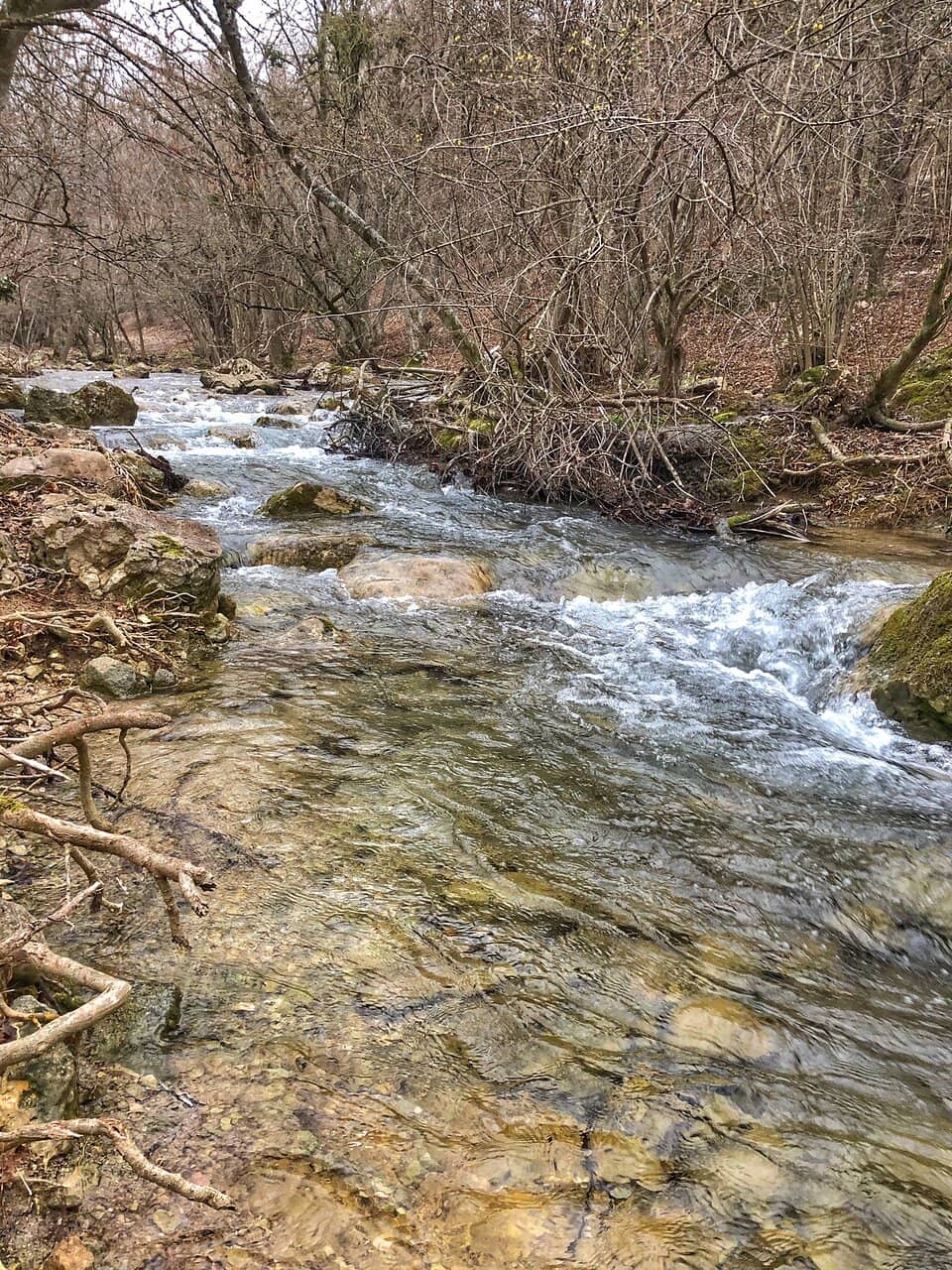 Scenic Outdoor Landscape