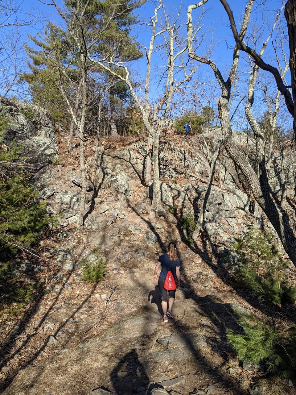 Ponkapoag Pond Loop