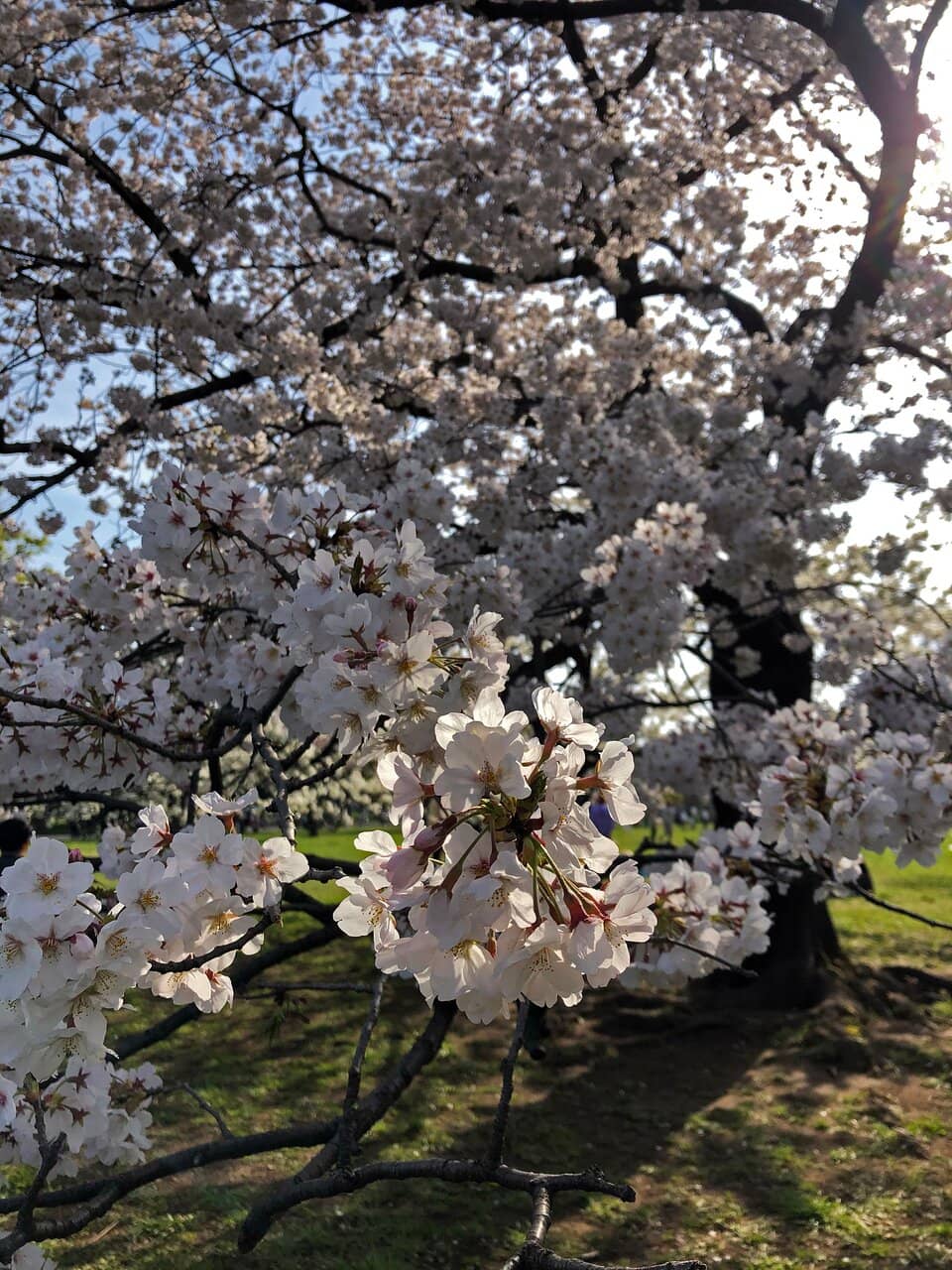 Children's Playground