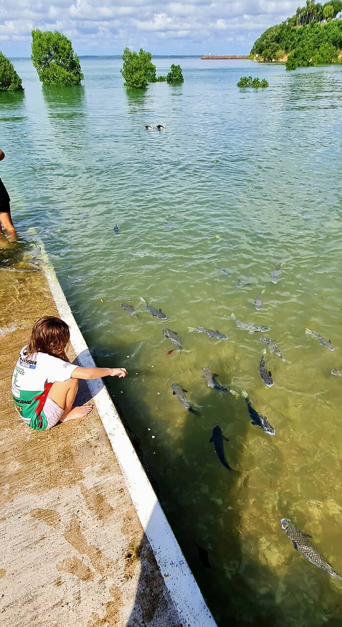 Abundant Fish & Bird Life