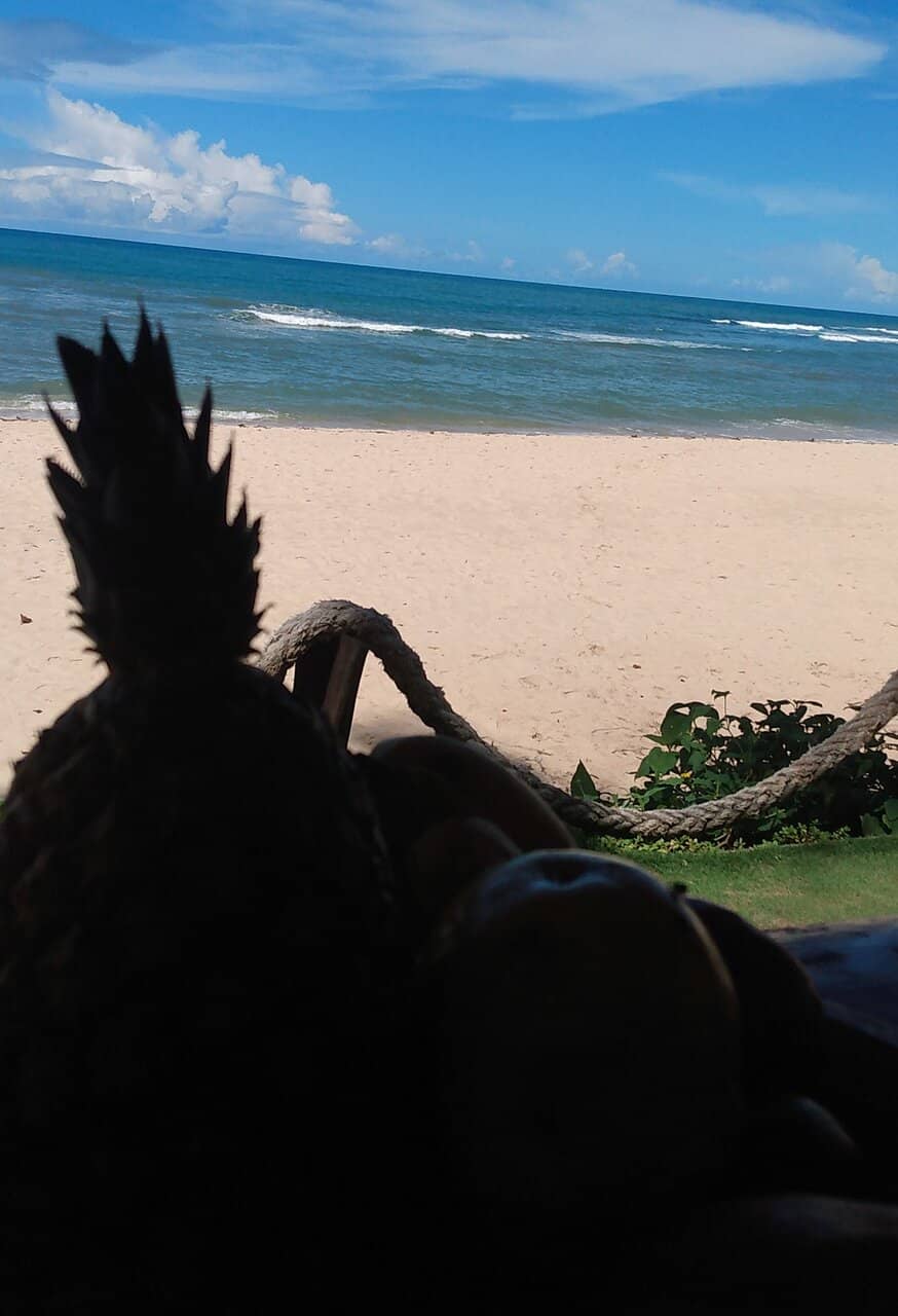 Exquisite Caipirinhas and Prawn Salad