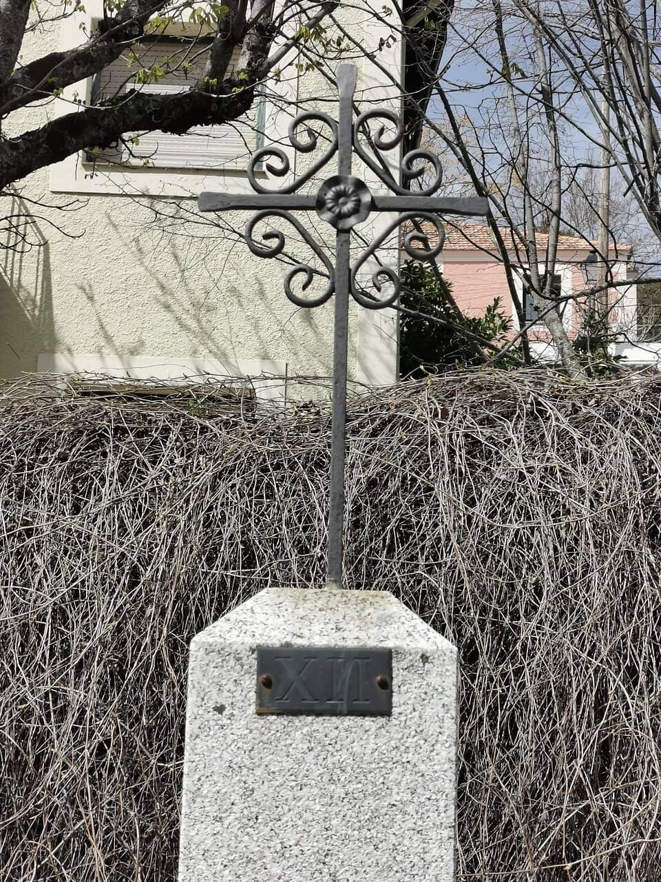 Vertical photo