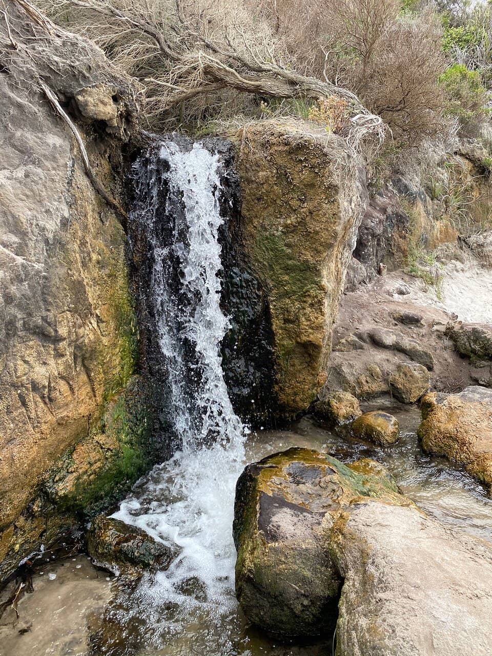 Pristine Sandy Shores