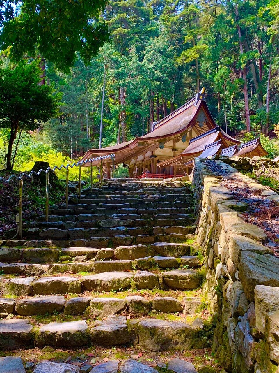 Autumn Foliage Spectacle