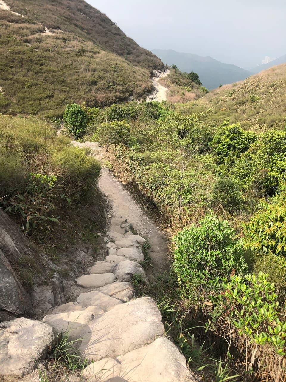 Vertical photo