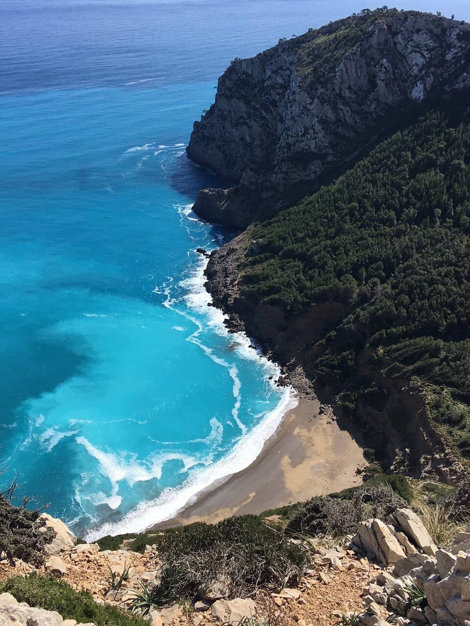 Wild Goats Encounter