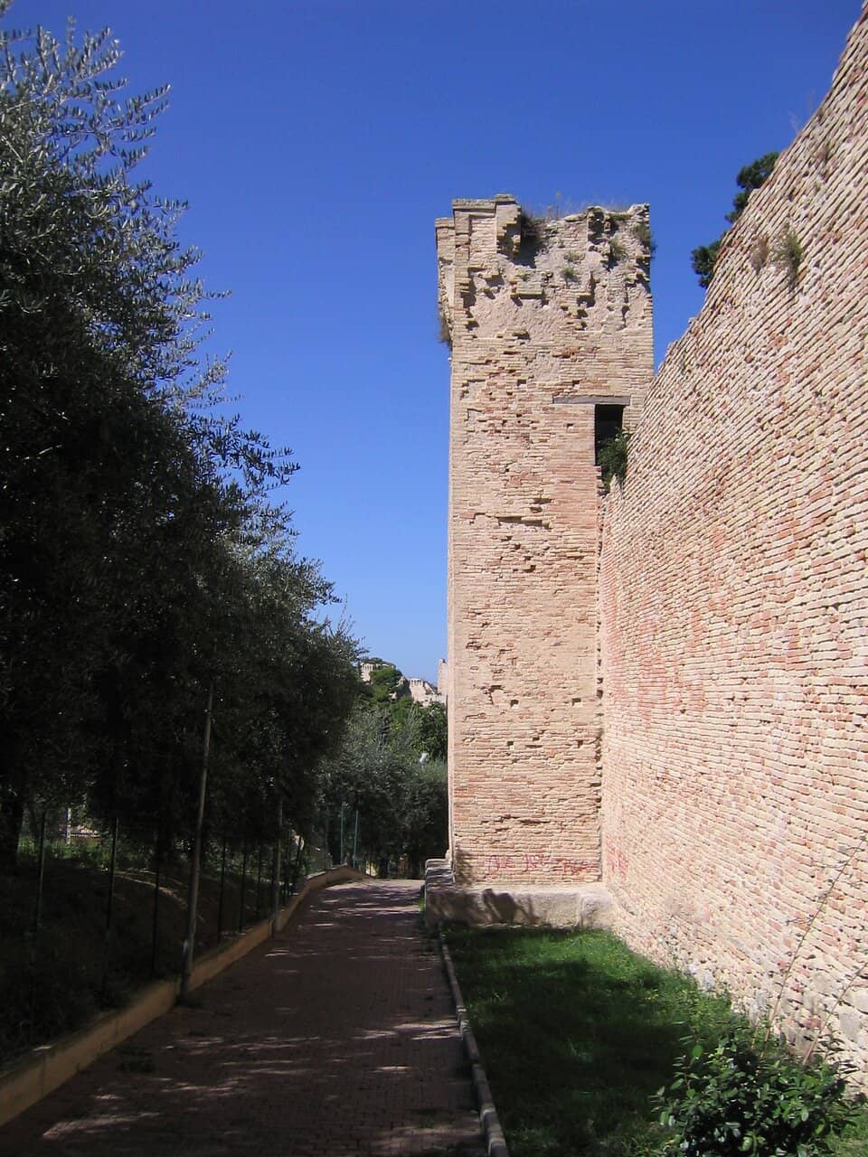 Vertical photo