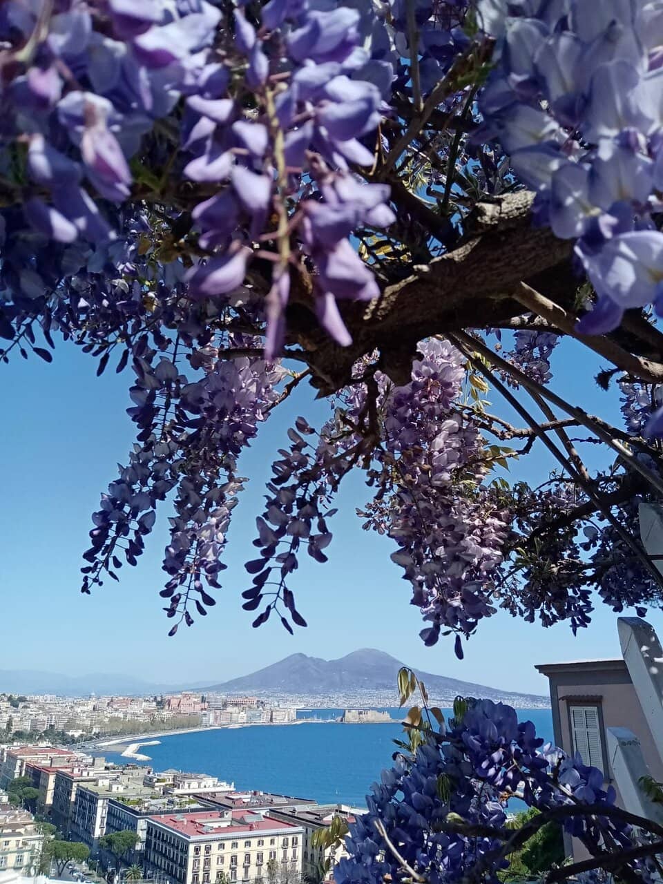 Vertical photo